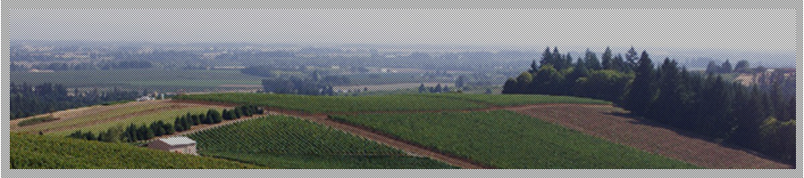 お問い合わせトップイメージ